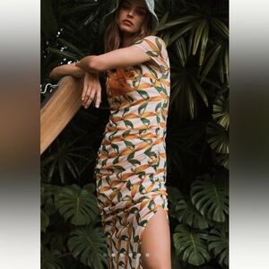 FARM Rio Printed Mesh Dress